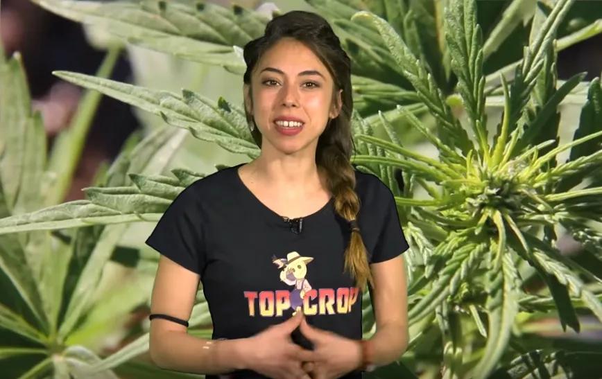 Imagen sin descripción