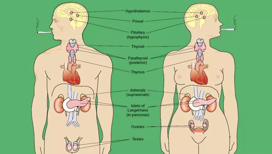 Imagen sin descripción