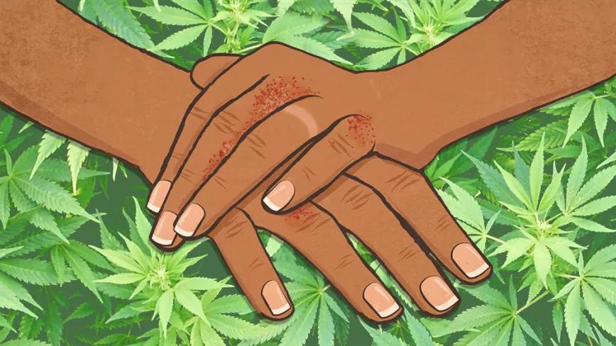 Imagen sin descripción