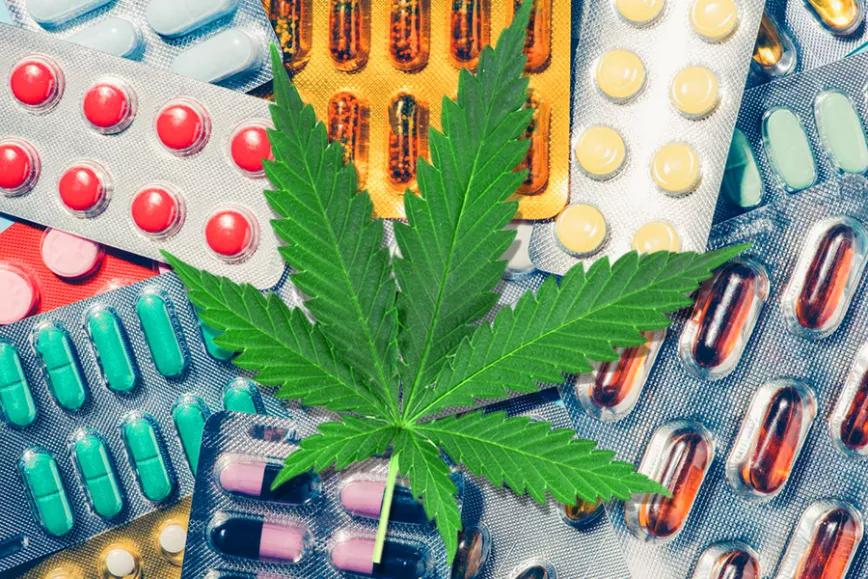 Imagen sin descripción