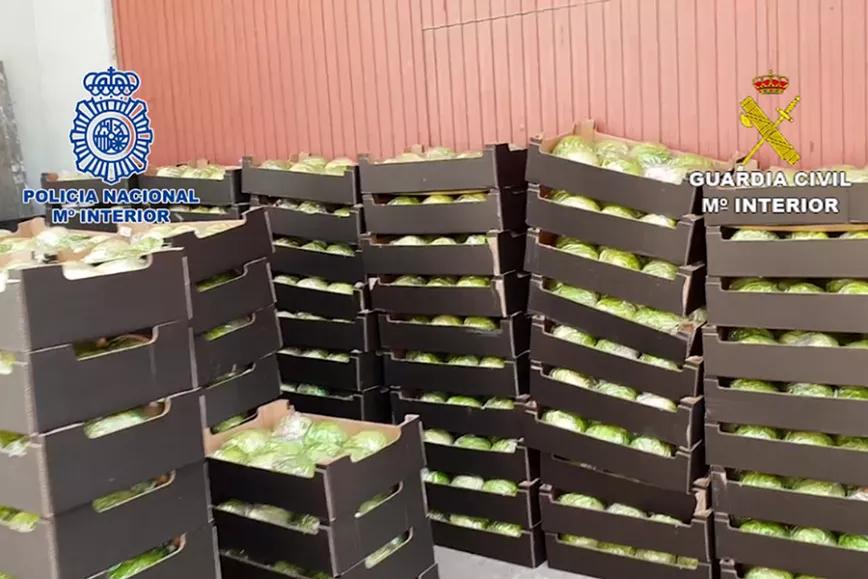 Imagen sin descripción