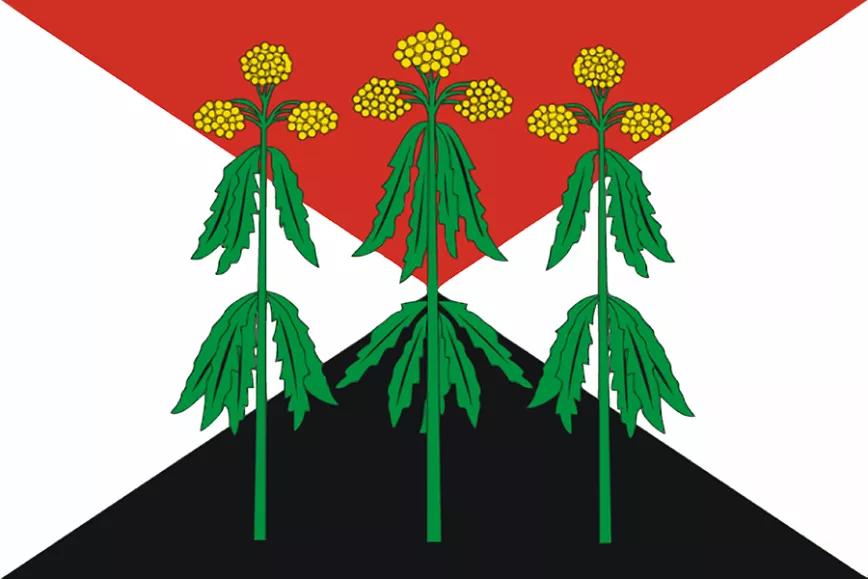 Imagen sin descripción