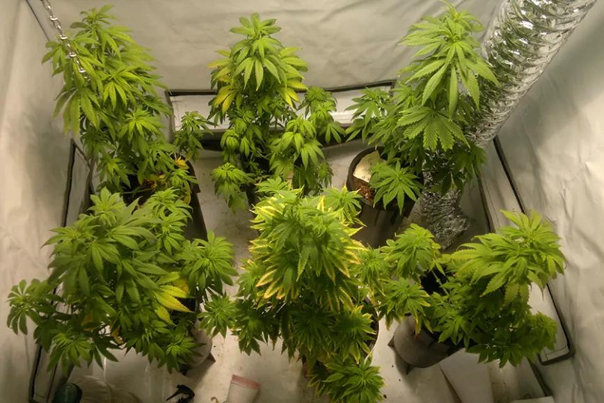 Imagen sin descripción