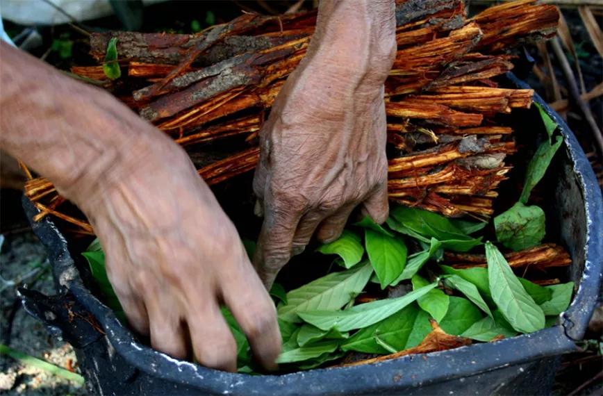 Imagen sin descripción