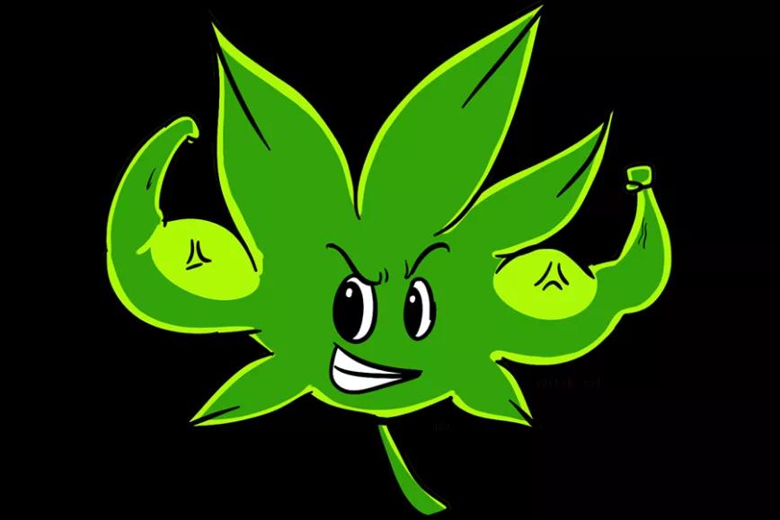 Imagen sin descripción