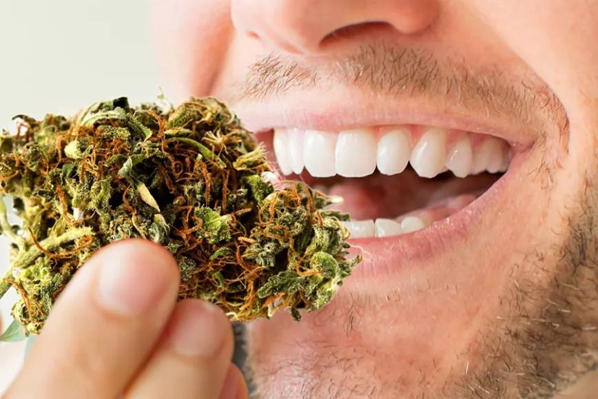 Imagen sin descripción