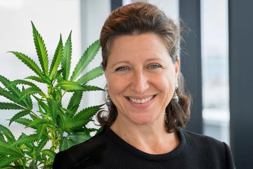 Imagen sin descripción