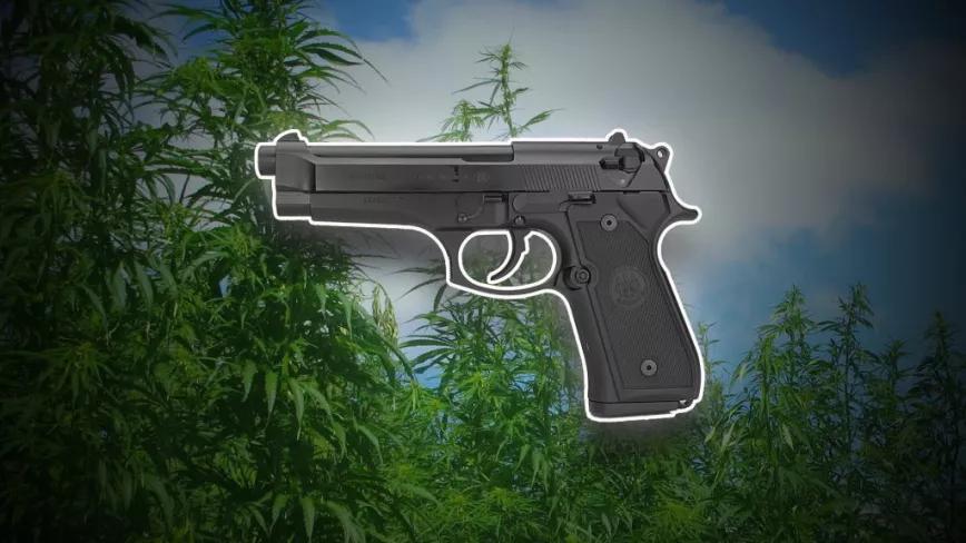 Imagen sin descripción