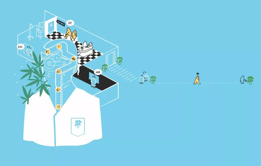 Cannabis terapéutico