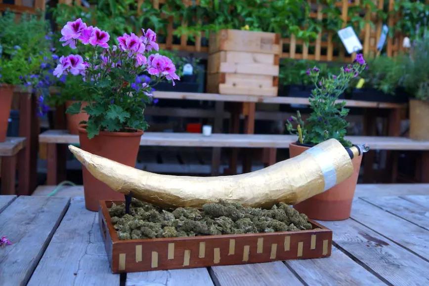 Imagen sin descripción