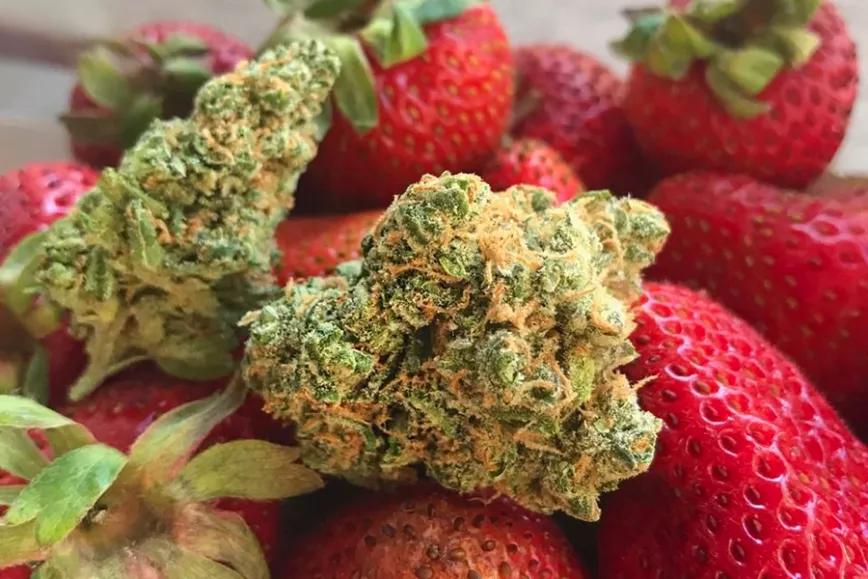 Imagen sin descripción