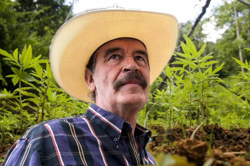 Imagen sin descripción