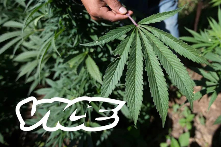 Imagen sin descripción