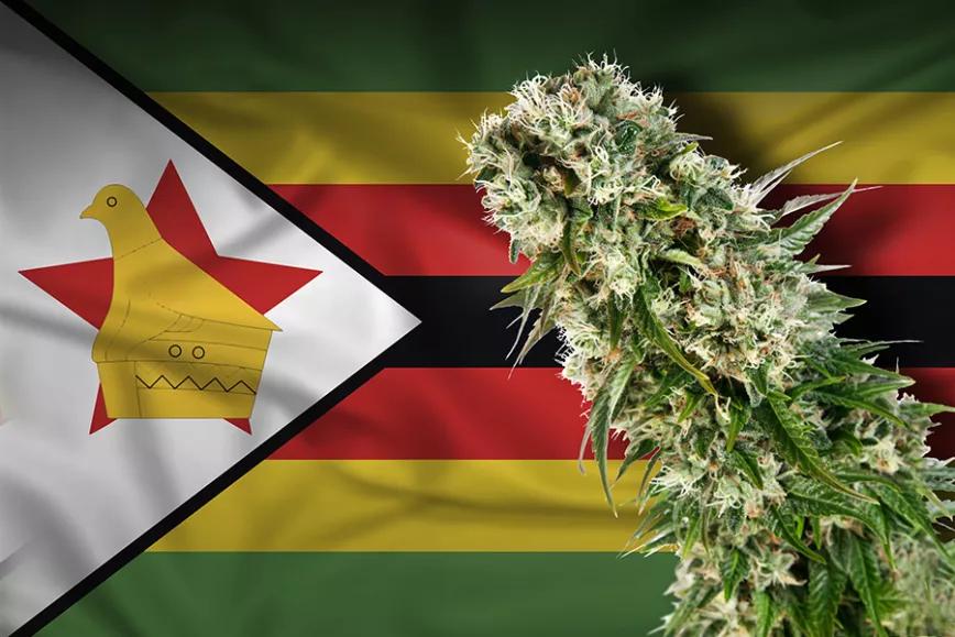 Imagen sin descripción