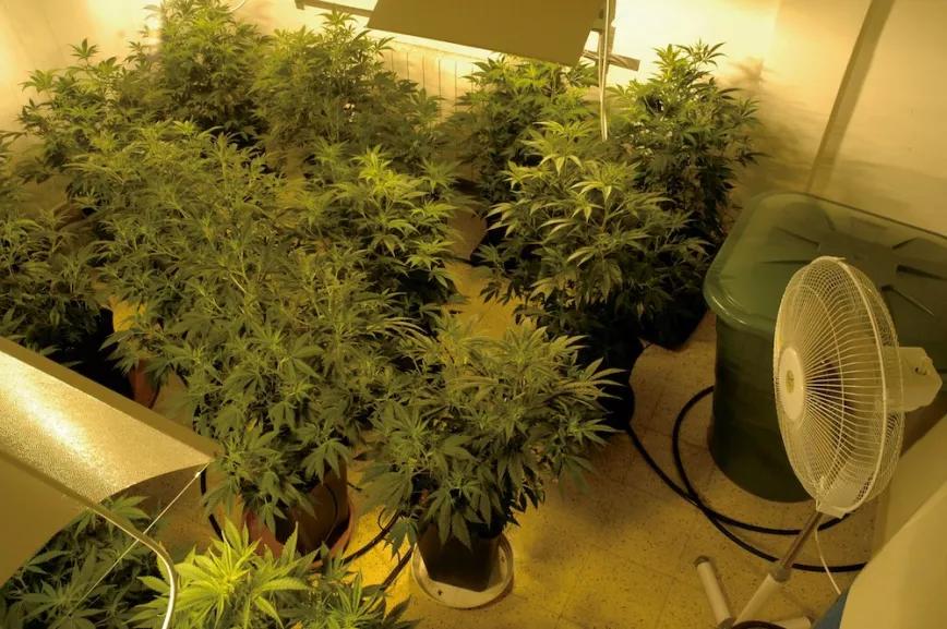 Imagen sin descripción