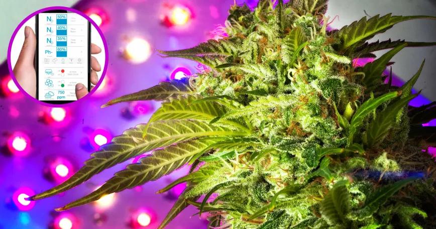 Imagen sin descripción