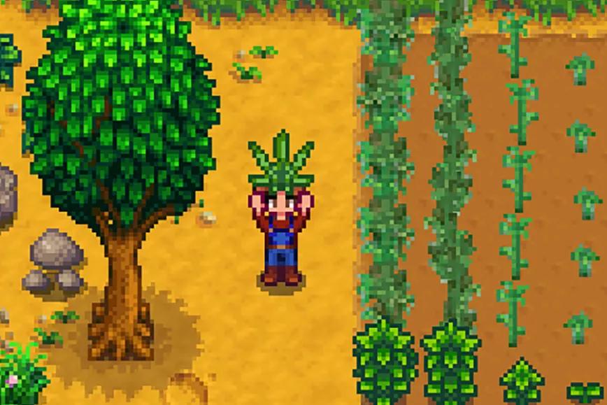 Imagen sin descripción