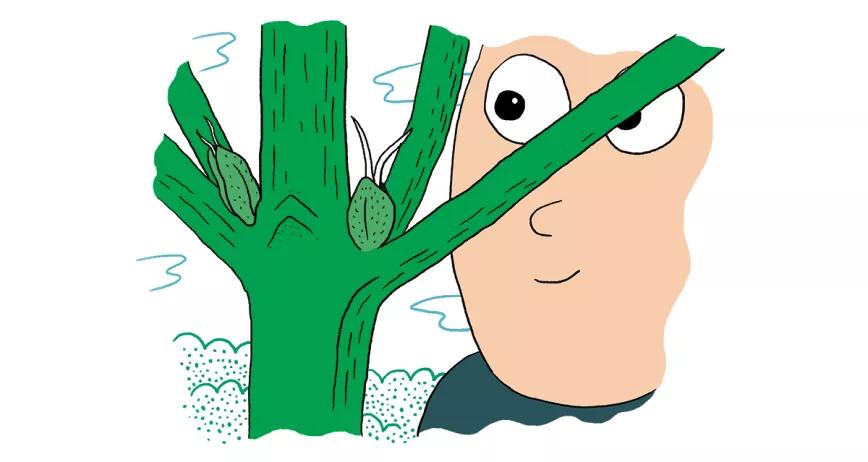 Imagen sin descripción