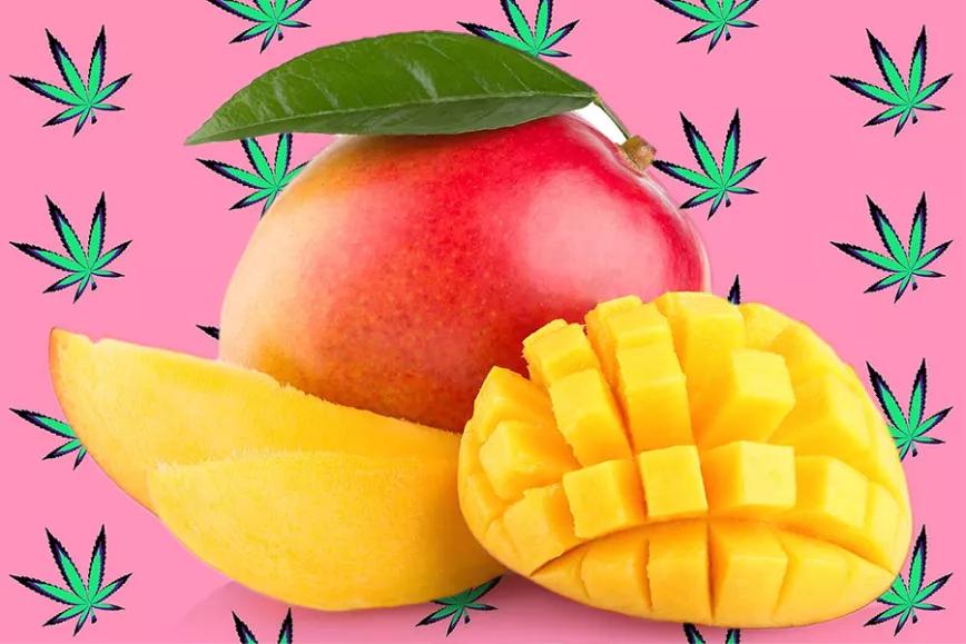 Imagen sin descripción