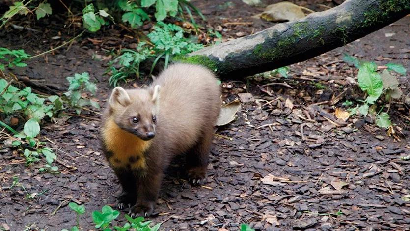 Imagen sin descripción