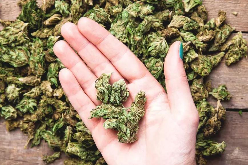 Imagen sin descripción