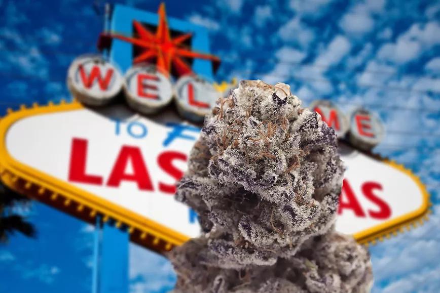 Imagen sin descripción