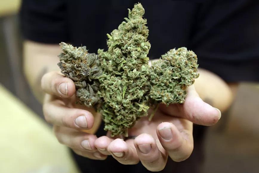 Imagen sin descripción