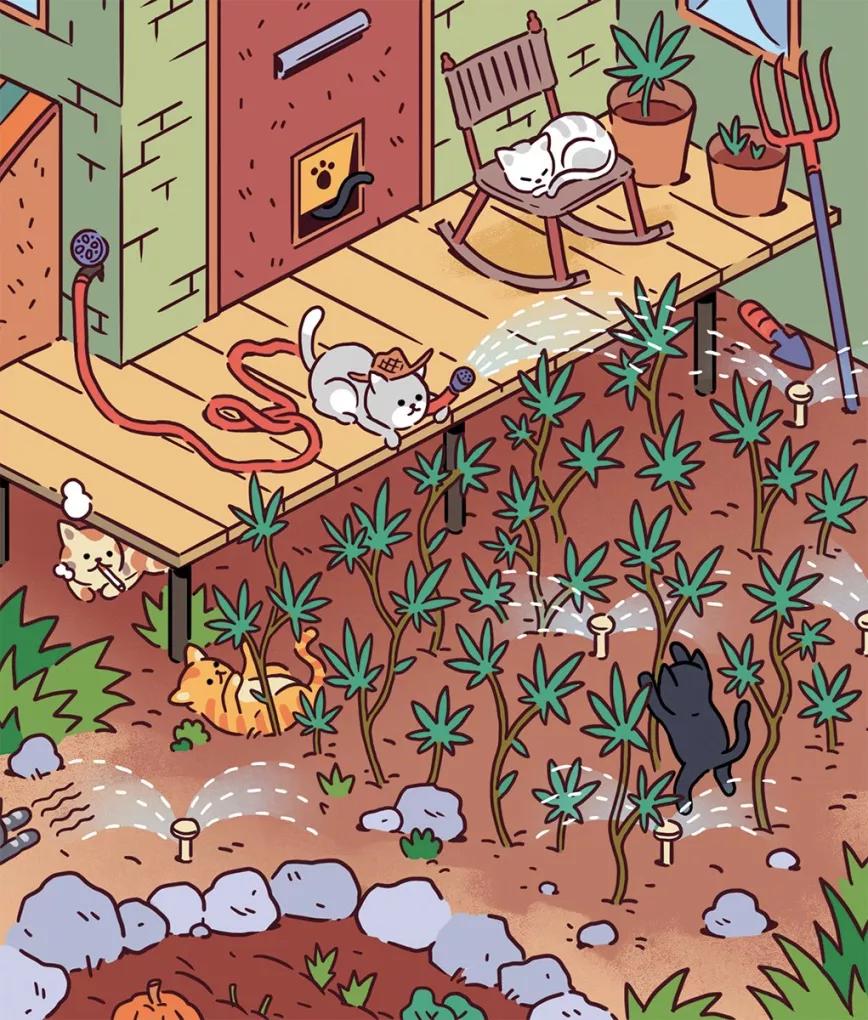 Imagen sin descripción