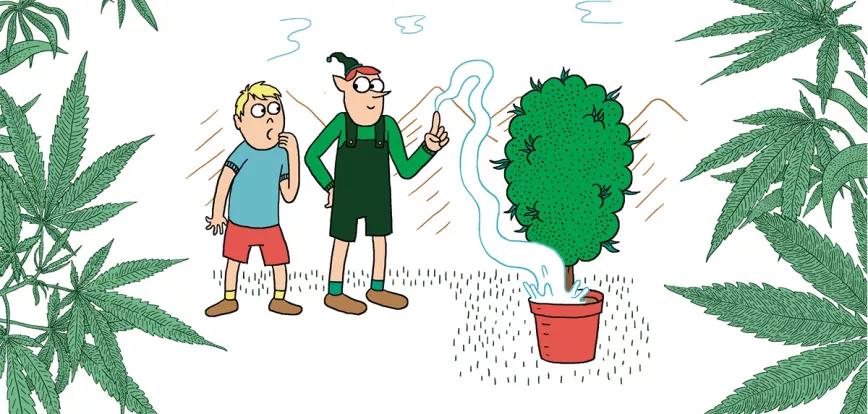 Imagen sin descripción