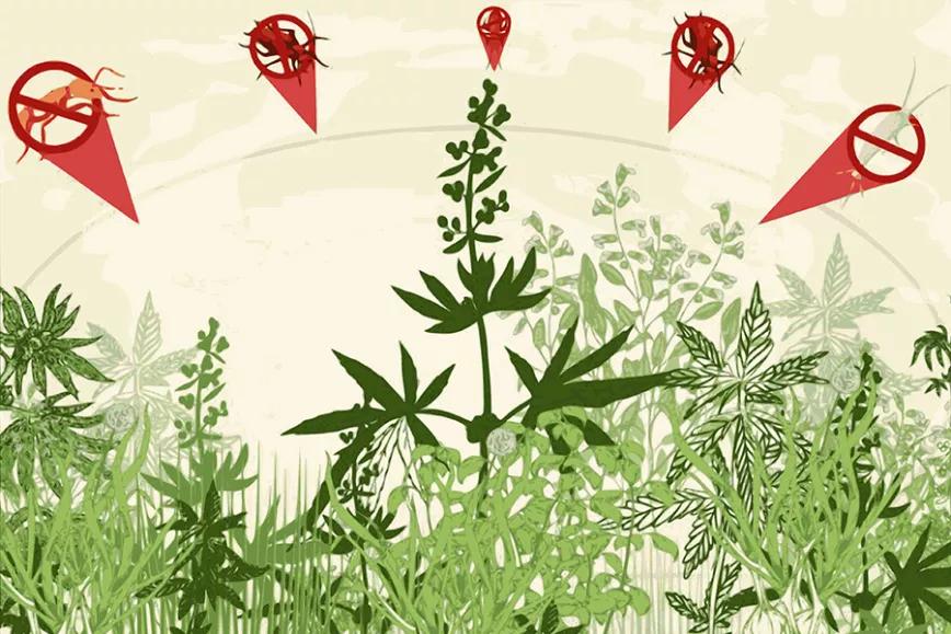 Imagen sin descripción