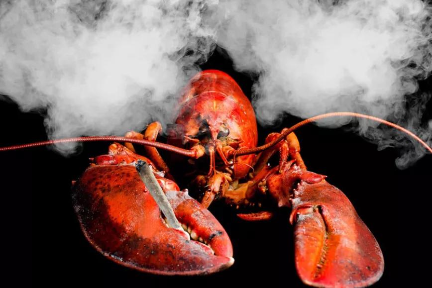 Imagen sin descripción