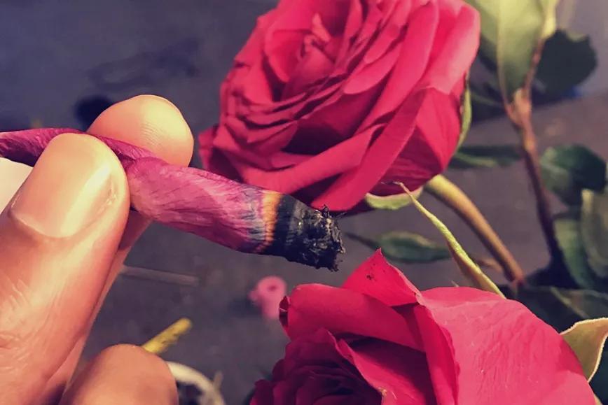 Imagen sin descripción