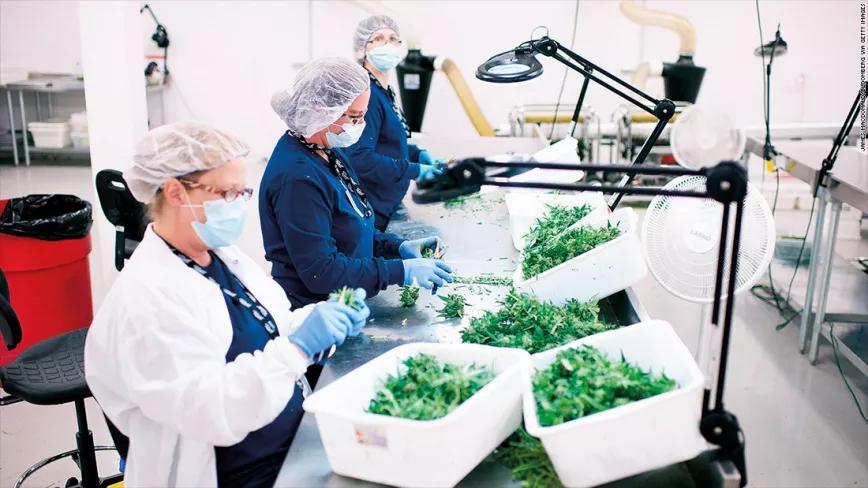 Imagen sin descripción