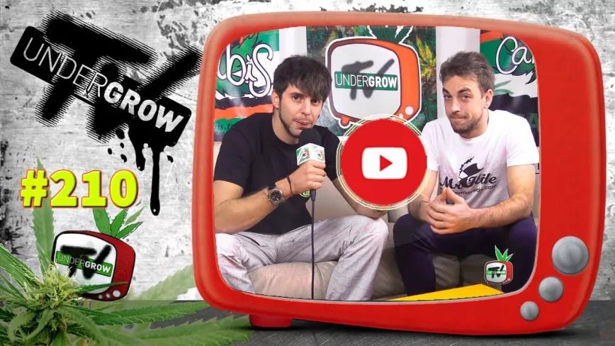 Imagen sin descripción