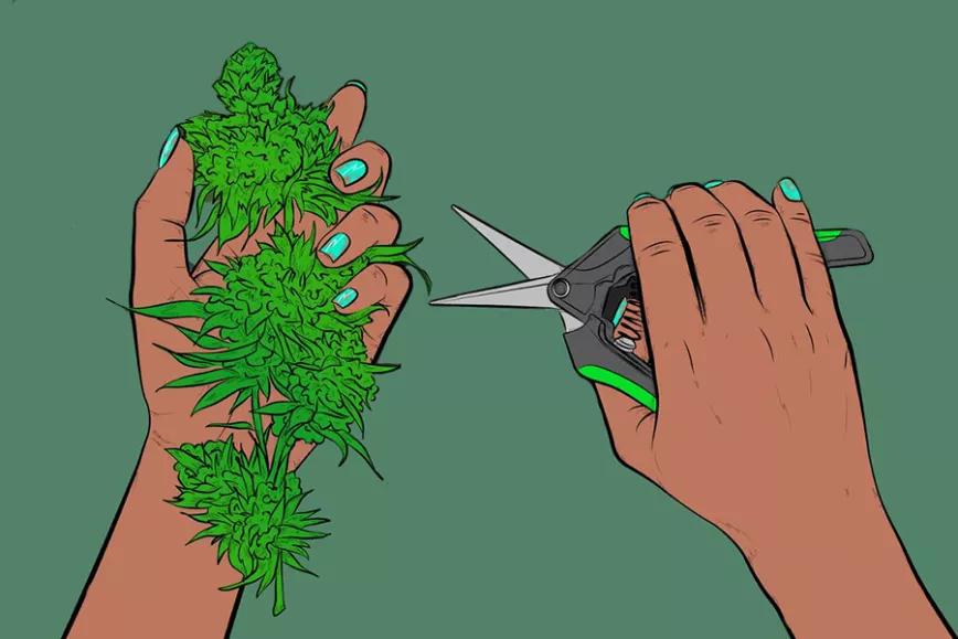 Imagen sin descripción