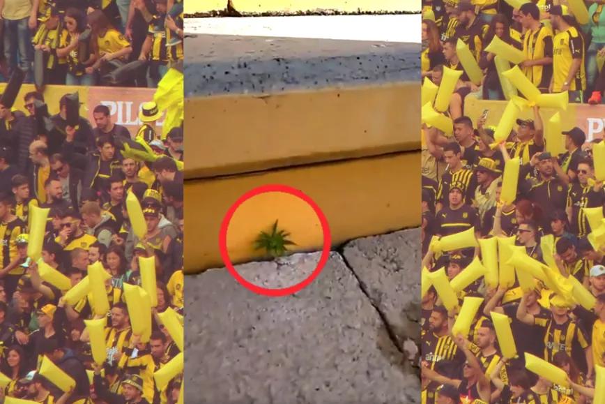 Imagen sin descripción