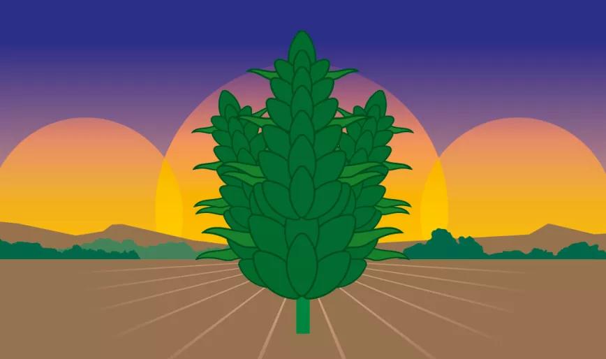 Imagen sin descripción