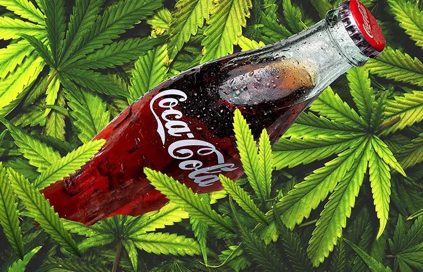 Imagen sin descripción