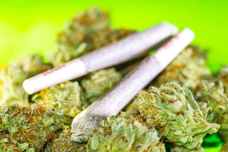 Imagen sin descripción