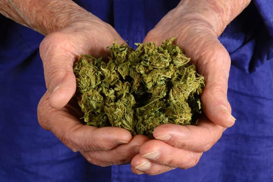 Imagen sin descripción