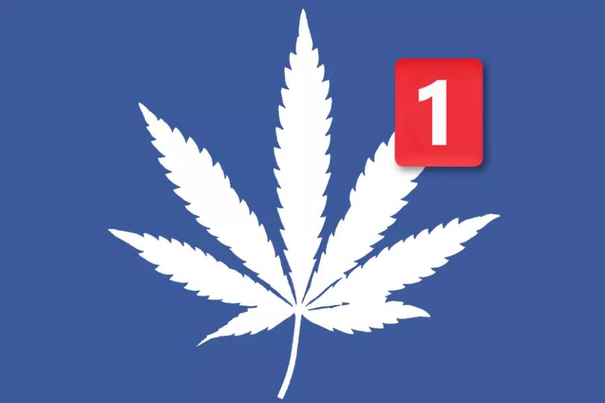 Imagen sin descripción