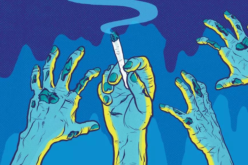 Imagen sin descripción