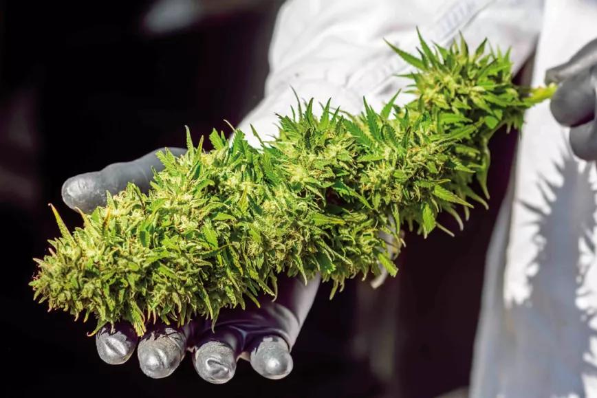 Imagen sin descripción