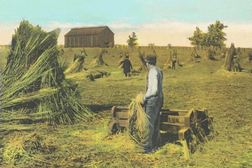 Imagen sin descripción