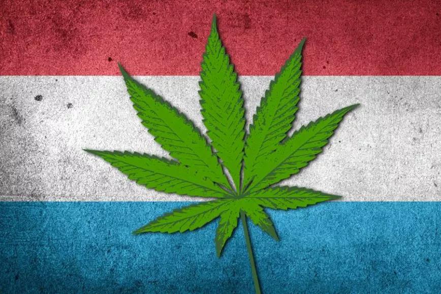 Imagen sin descripción