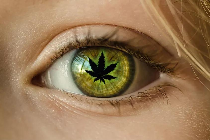 Imagen sin descripción