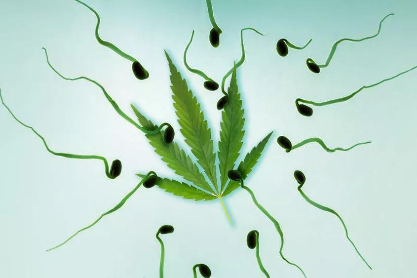 Imagen sin descripción