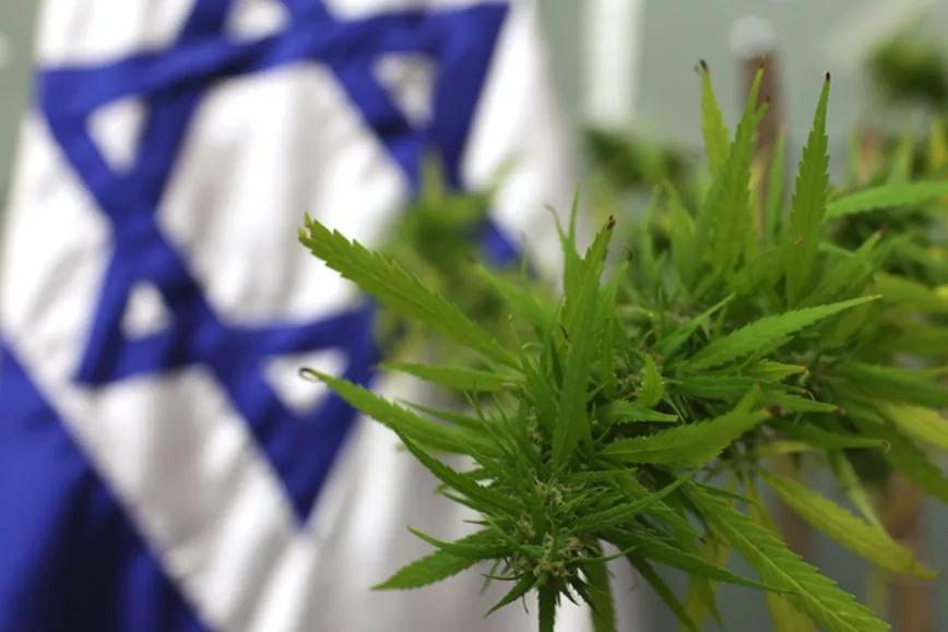 Imagen sin descripción