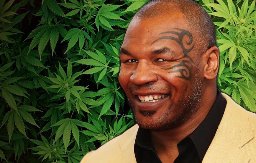 Imagen sin descripción