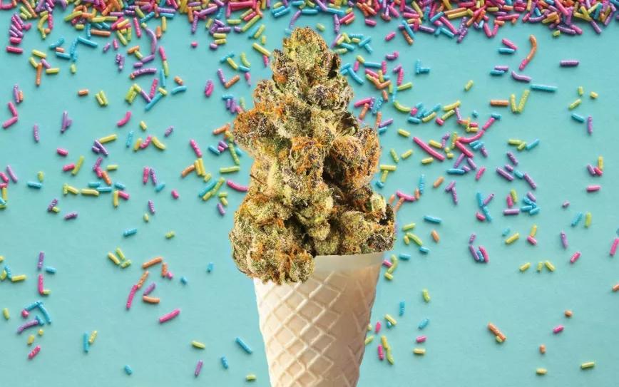 Imagen sin descripción